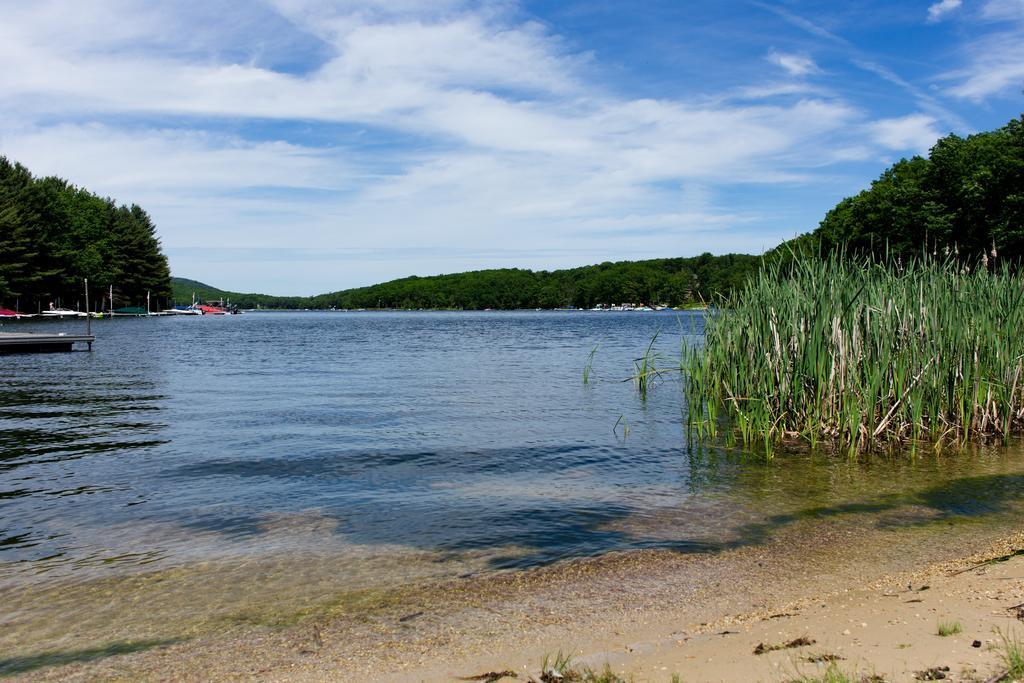 Inn At Deep Creek Oakland Exteriör bild